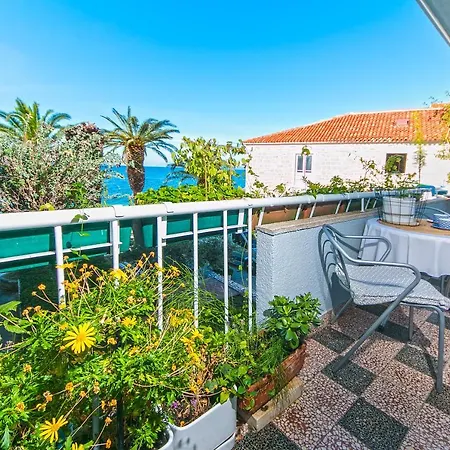 Aart * Podgora (Split-Dalmatia)